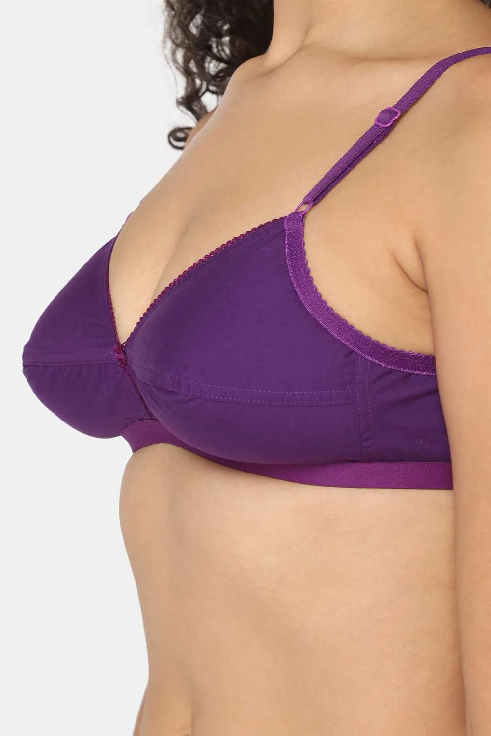 Naidu Hall Non-Padded Absolute Saree Bra - Trend